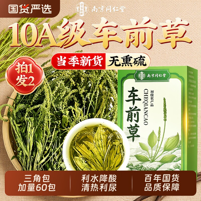南京同仁堂车前草野生中药尿降酸泡水喝干货官方旗舰店正宗正品