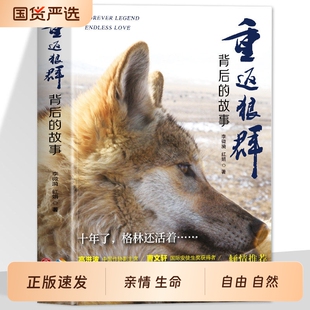 官方正版重返狼群背后的故事李微漪红娟著一部人狼情未了的旷世传奇难以割舍恒以在怀的牵挂探寻人与自然和谐之道格林