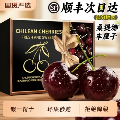 空运次日达丨原箱进口桑提娜黑车