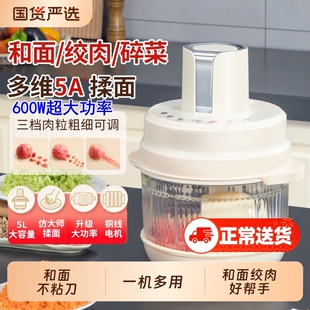 龙德利家用电动绞肉机新款和面机料理机多功能一体搅面机肉馅食物