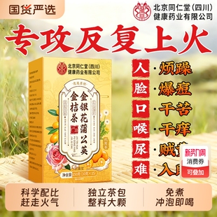 北京同仁堂金银花菊花蒲公英金桔茶叶清热解排毒去火养生茶信盛堂