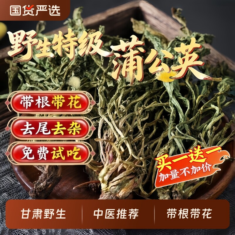 特级野生蒲公英蒲公英茶根正品中药材新鲜夏枯草茶官方旗舰店清热