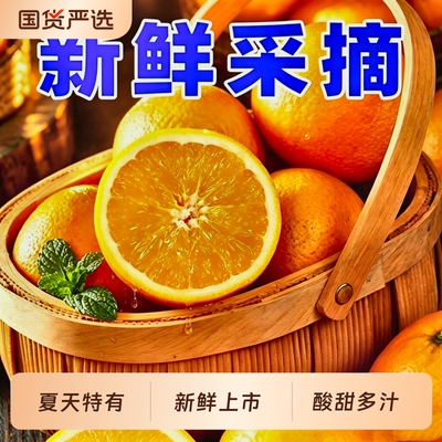 新鲜夏橙夏天特有新鲜橙子水果