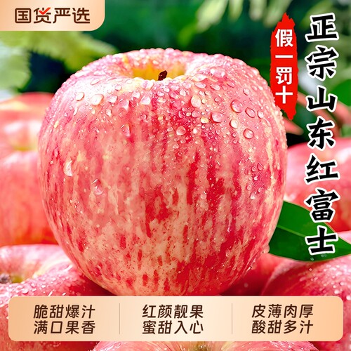 正宗红富士苹果脆甜多汁现摘现发