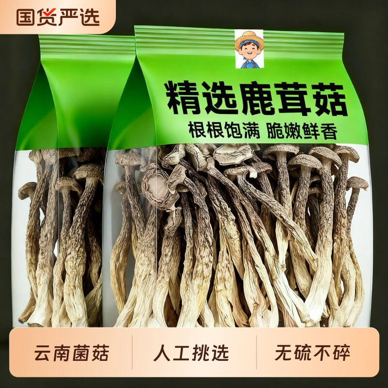 鹿茸菇干货特级500g鹿茸菌新鲜脆脆菇蘑姑干香菇云南菌子煲汤食材