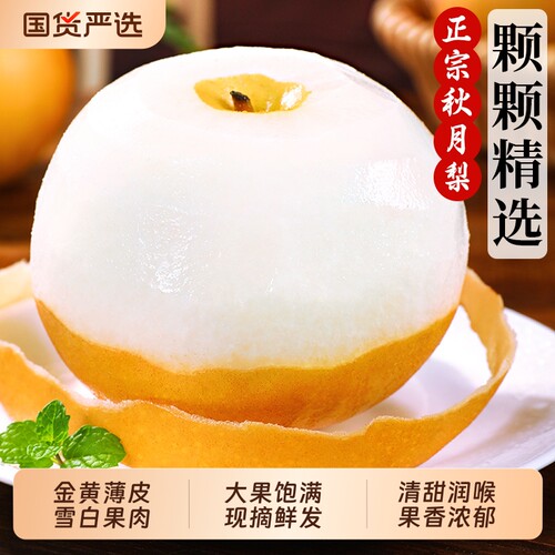 山东秋月梨新鲜梨子水果包邮