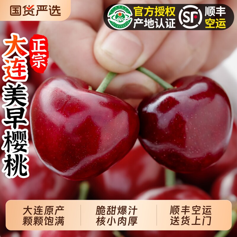 大连美早樱桃新鲜水果特大果园直发车厘子整箱4.8斤顺丰包邮5J