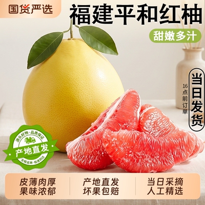 【福建平和红心柚子产地直发】