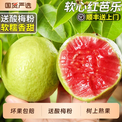【顺丰次日达】软糯香甜红心芭乐