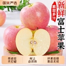 多汁 包邮 圣诞红富士苹果新鲜水果当季 冰糖心丑苹果青红富士应季