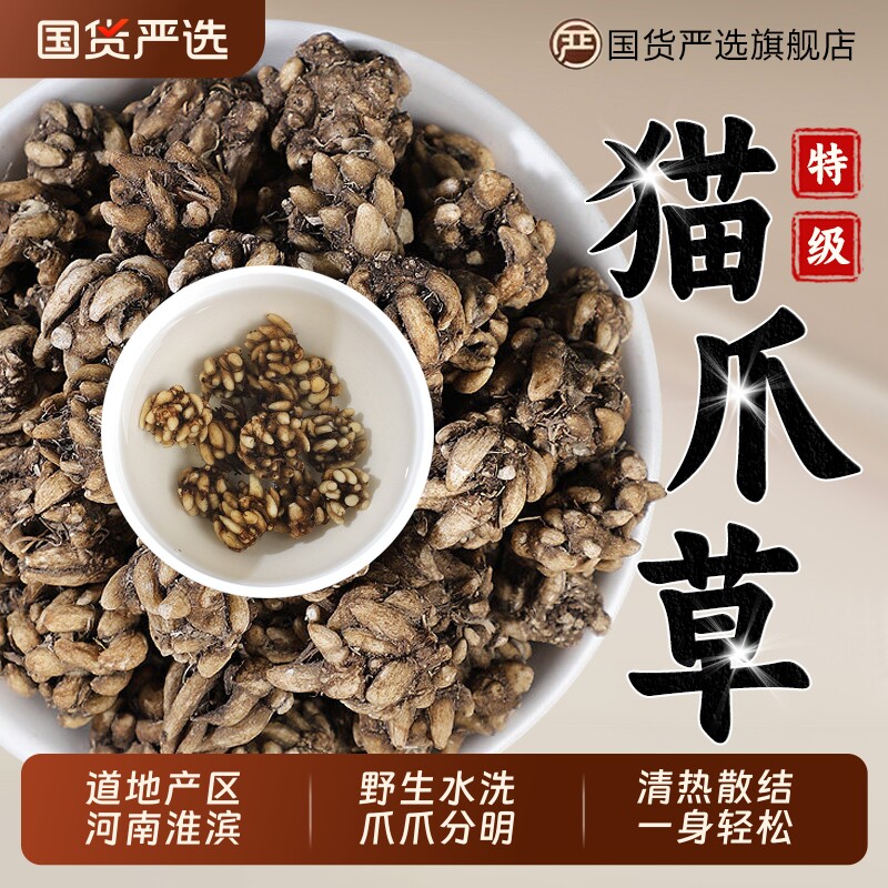 猫爪草中药材正品野生猫抓草中草药材猫瓜草猫爪茶毛抓草新鲜陈皮