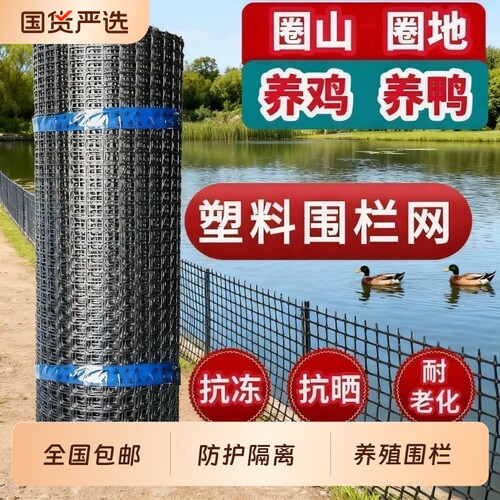 塑料围网养殖防护拦鸡鸭胶网