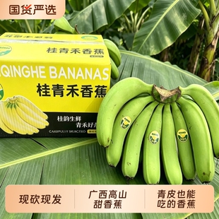 净重5斤！广西高山青皮香蕉单根130G+