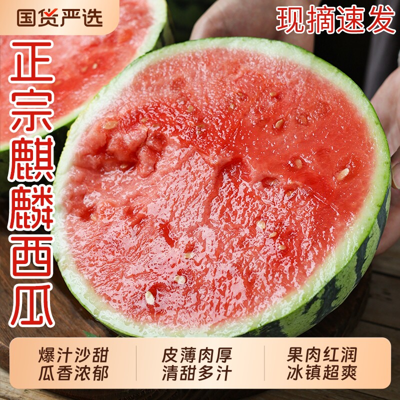 麒麟西瓜新鲜水果当季现摘8424美都有籽薄皮冰淇淋大西瓜脆甜包邮