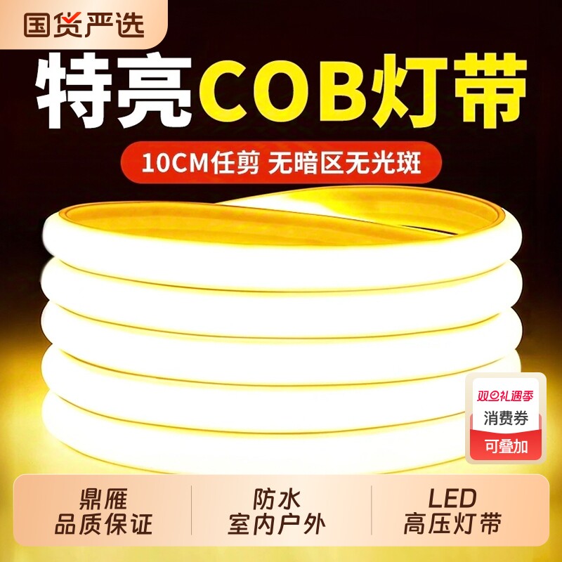 鼎雁灯带led灯条220v客厅超亮吊顶户外防水气氛灯摆摊灯带条护眼