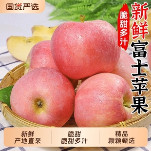 红富士75-80mm中大果5斤