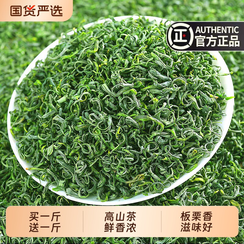 2026新茶高山绿茶毛尖一级浓香型春茶叶高山云雾炒青茶散装日照足