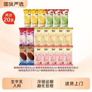 20支甄稀冰淇淋支棒新品多种口味雪糕棒冰茉莉牛乳黑巧荔枝味流心