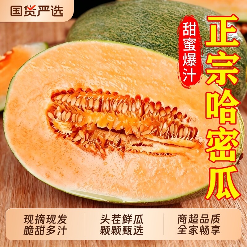 正宗哈密瓜脆甜9斤当季新鲜水果甜一整箱包邮现摘网纹瓜西州蜜