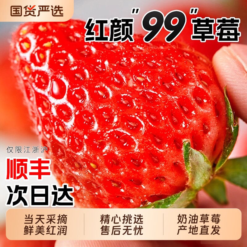 红颜草莓99奶油草莓新鲜当季孕妇水果整箱九九顺丰包邮大草莓回购,水产肉类/新鲜蔬果/熟食,草莓,淘宝优惠券,粉丝福利购,淘宝优惠卷