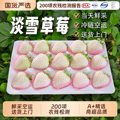 淡雪白草莓礼盒装白雪公主新鲜水果高端礼物白色生日礼物配送现摘