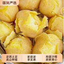 2026年甘肃沙面土豆新鲜黄皮黄心洋芋定西马铃薯辅食开花