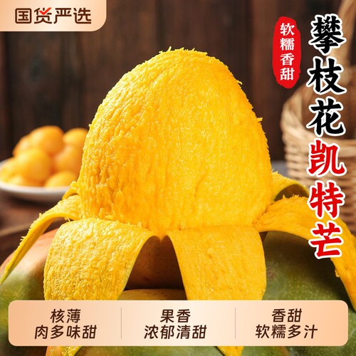 攀枝花凯特芒果软糯香甜新鲜9斤