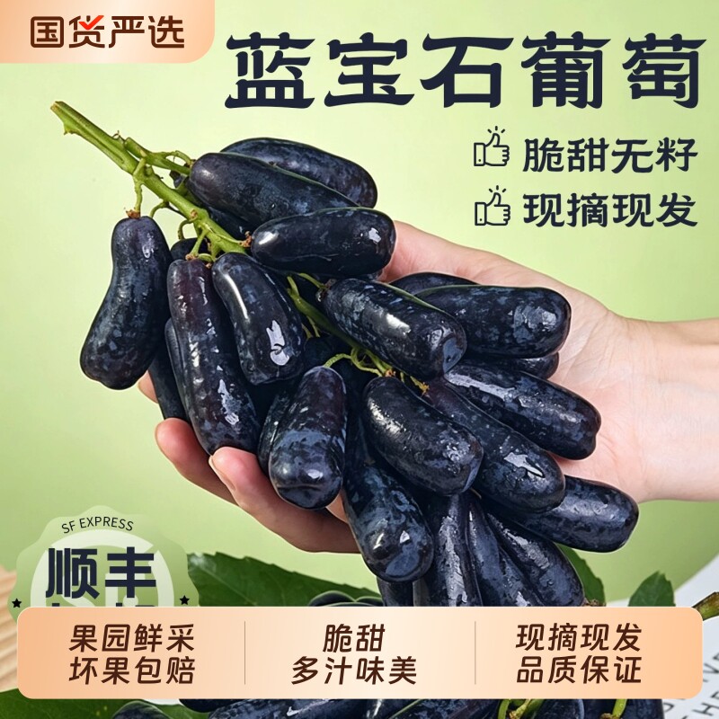 顺丰蓝宝石葡萄当季新鲜水果提子无籽黑提孕妇金手指包邮现摘美人图片