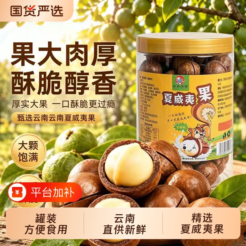 云南新货夏威夷果奶香大果奶油味坚果炒货孕妇儿童零食批发年货坚