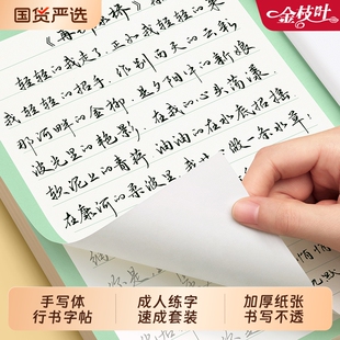 行书练字帖行楷字帖成人练字成年速成钢笔硬笔书法练字本男女生字体漂亮临摹初中生专用高中生手写体连笔字练习本基础训练入门美文