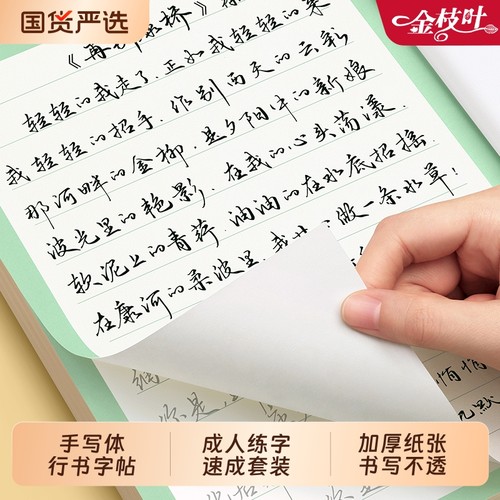 行书练字帖行楷字帖成人速成套装