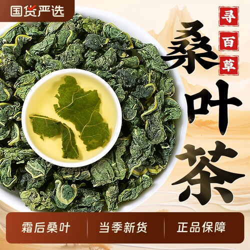 霜后桑叶茶泡水泡茶桑叶中药材