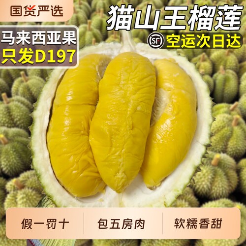【只发树上熟】正宗猫山王榴莲
