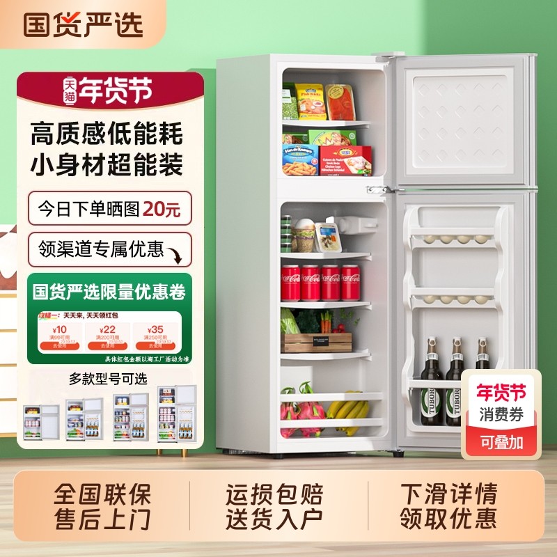 先科一级能效小冰箱家用小型租房宿舍迷你双开门电冰箱冷冻双门