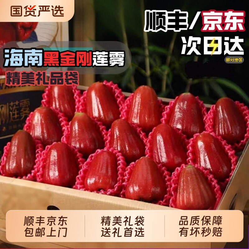 【官方推荐】海南三亚黑金刚莲雾精品大果脆甜多汁新鲜包邮连雾