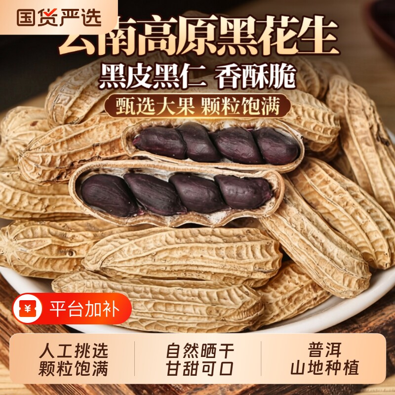 新货富硒黑花生带壳新鲜生吃种子籽云南鲜湿糯老品种普洱黑皮油炸