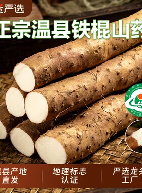 温县铁棍山药新鲜装|千人加购