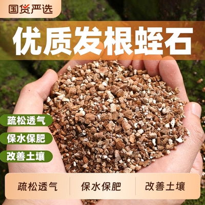 蛭石扦插用颗粒园艺养花用专用多肉发根育苗拌土基质种植植物土壤