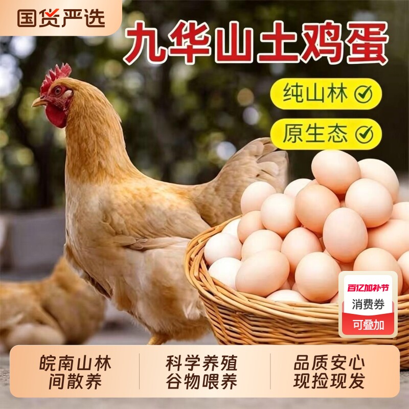 安徽九华山农家土鸡蛋60枚皖南高山散养虫草蛋月子笨鸡蛋顺丰包邮