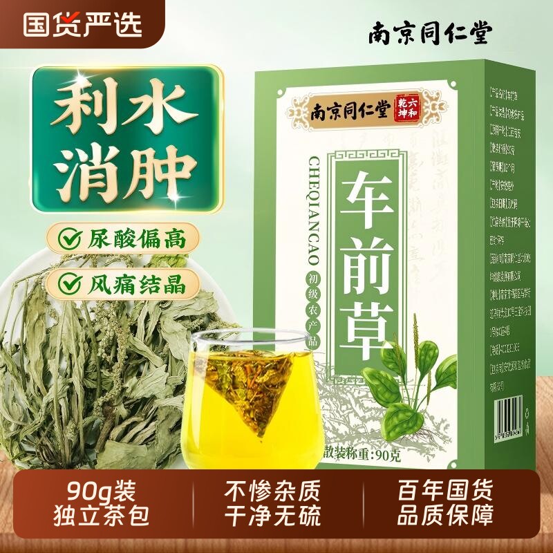 南京同仁堂车前草中药袋泡茶官方旗舰店新鲜干货泡水喝功效与作用
