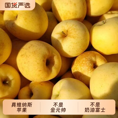 正宗山东维纳斯黄金苹果雀斑当季脆面富士清甜新鲜脆甜水果批发
