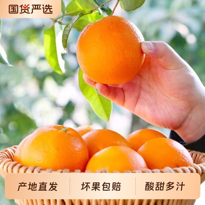 渝见橙正宗重庆万州伦晚脐橙当季新鲜水果橙子手剥橙甜橙现摘现发