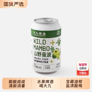 大九酿造山野曼波油柑酸梅西打果酒易饮国产精酿啤酒女士微醺流体