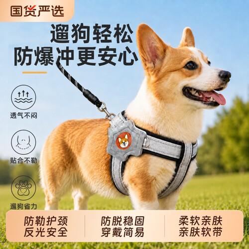 狗狗防爆冲Y型胸背带牵引绳背