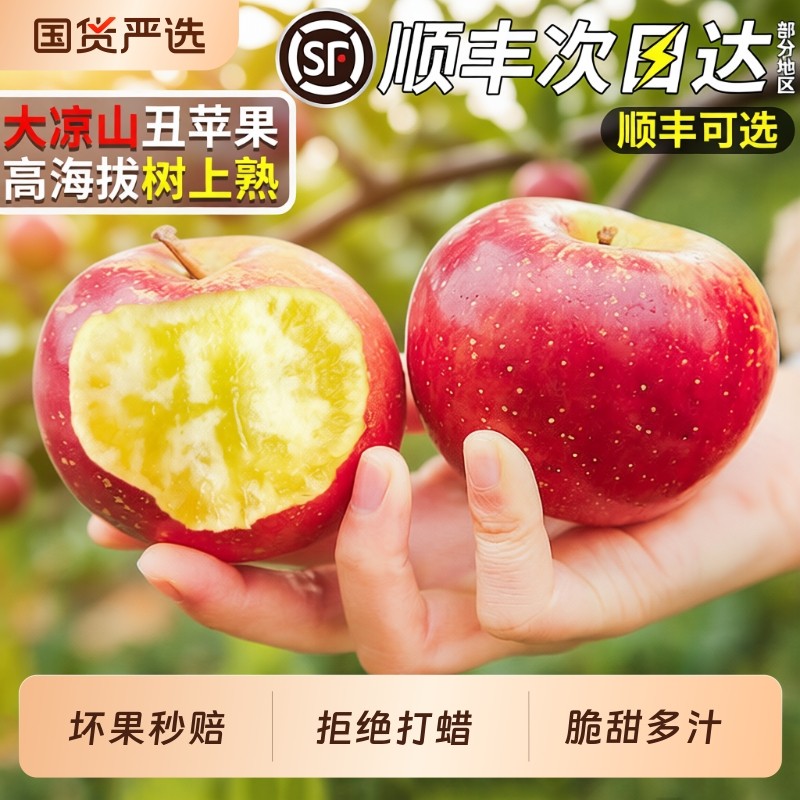 顺丰大凉山丑苹果冰糖心新鲜水果礼盒红富士盐源大甜当季整箱包邮,水产肉类/新鲜蔬果/熟食,苹果,淘宝优惠券,粉丝福利购,淘宝优惠卷
