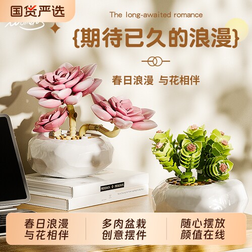 inbrixx积乎植物系列多肉盆栽拼装玩具花束积木桌面摆件节日礼物