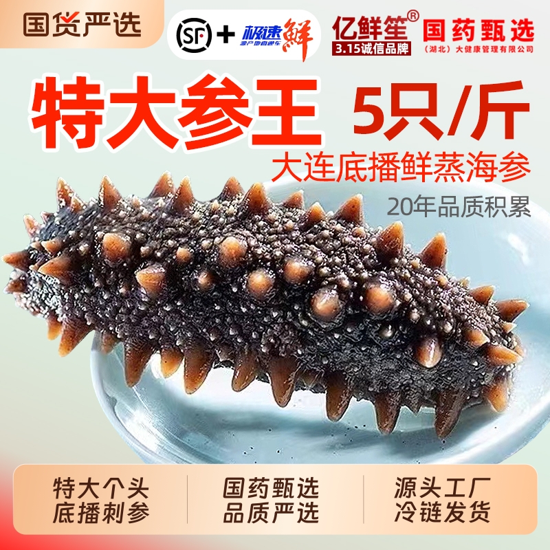 大连海参即食刺参鲜活非淡干辽参底播500g特价单个水产冷冻老年人
