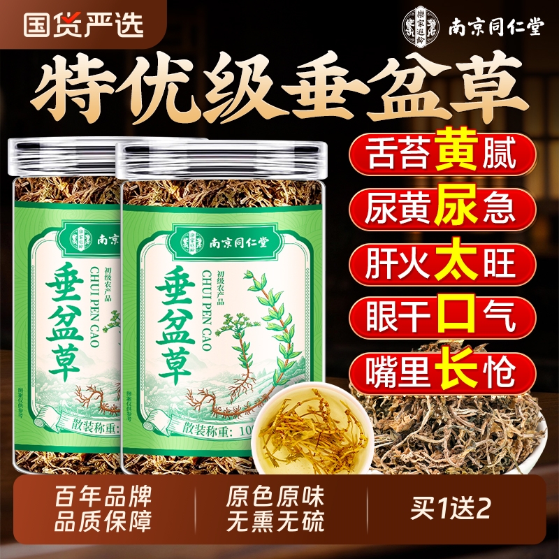 同仁堂7A特级】垂盆草清热养肝