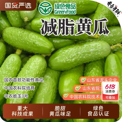 [顺丰包邮]减脂黄瓜-绿色认证中农脆玉3号水果黄瓜生吃代餐即食