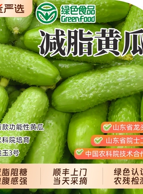 顺丰送上门-减脂水果黄瓜绿色中农脆玉3号生吃代餐即食国货农村现